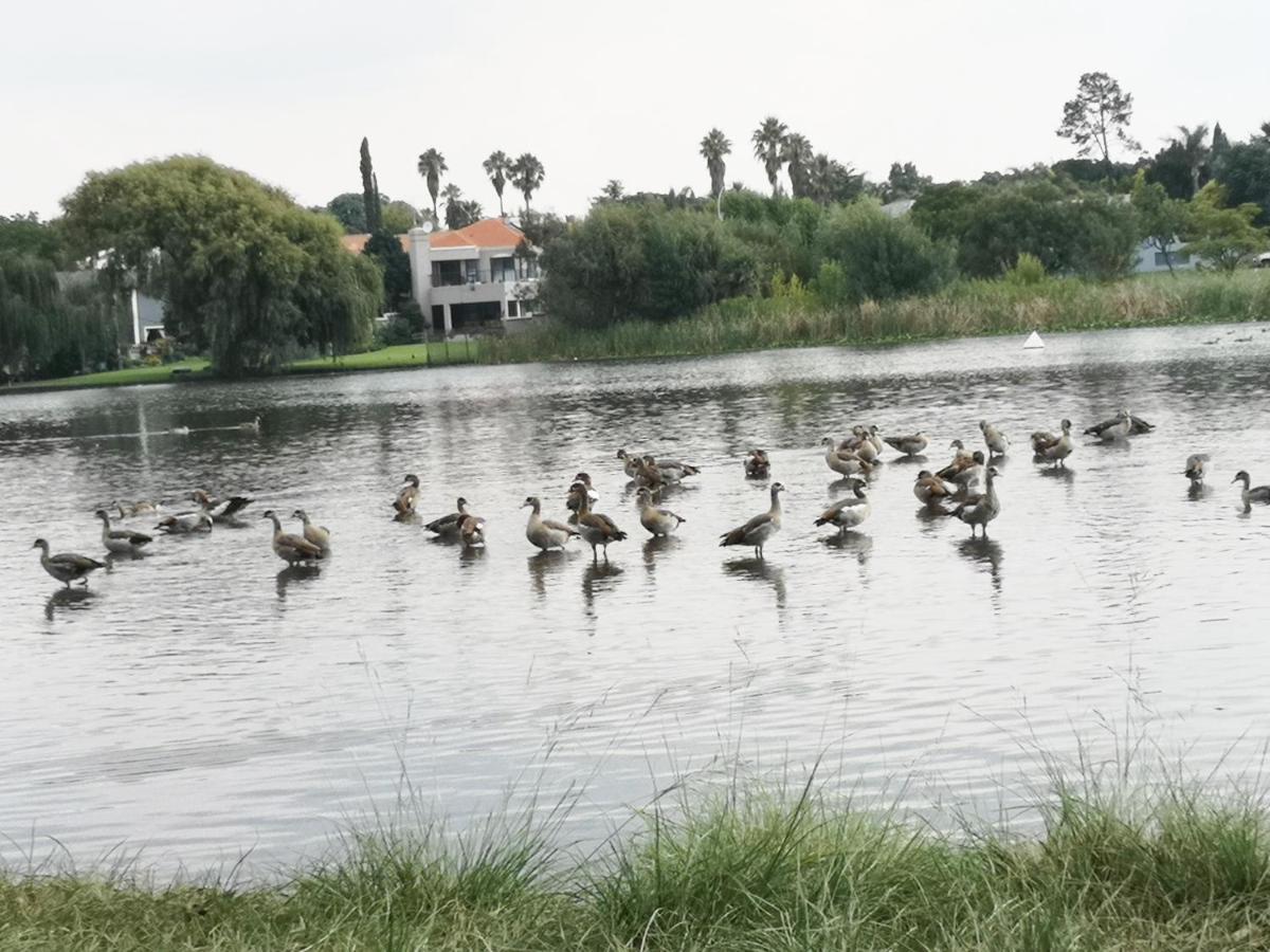 Southy Inn By The Lake Benoni Extérieur photo